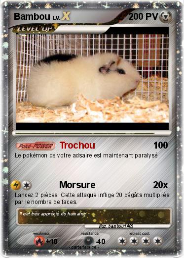 Pokemon Bambou