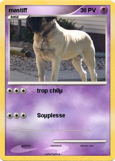 Pokemon mastiff