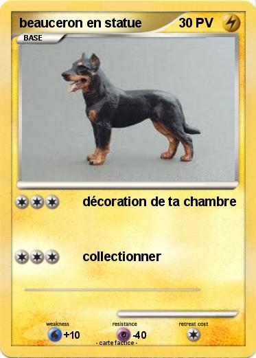 Pokemon beauceron en statue