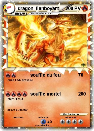 Pokemon dragon  flanboyant