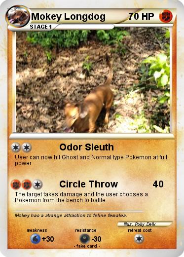 Pokemon Mokey Longdog