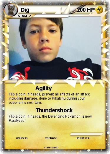 Pokemon Dig