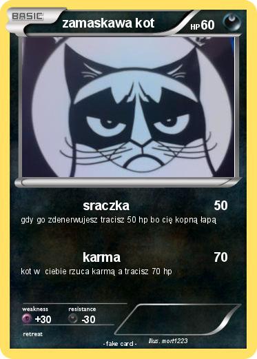 Pokemon zamaskawa kot