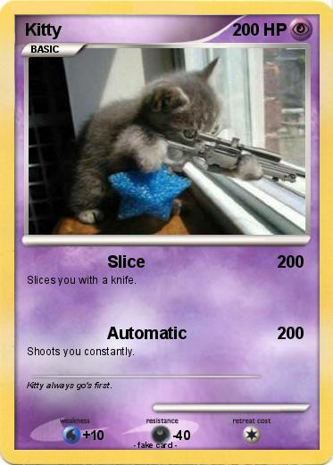 Pokemon Kitty