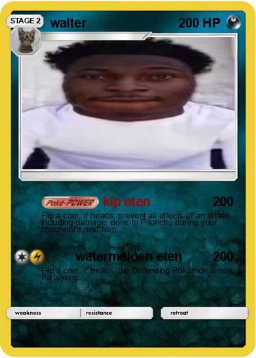 Pokemon walter