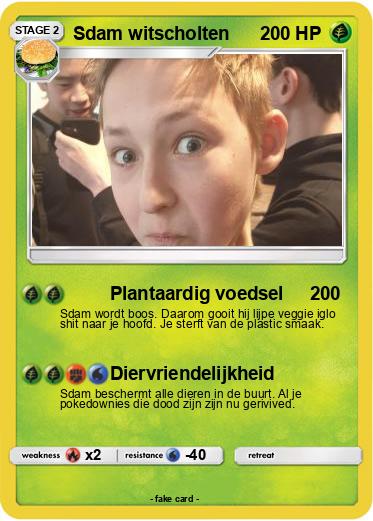 Pokemon Sdam witscholten