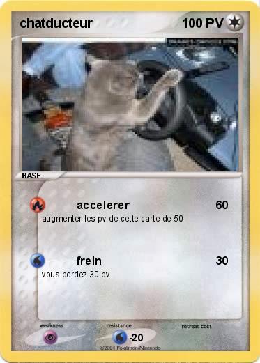 Pokemon chatducteur