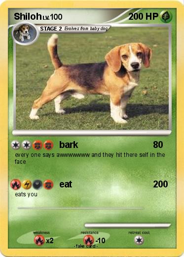 Pokemon Shiloh