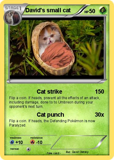 Pokemon David's small cat