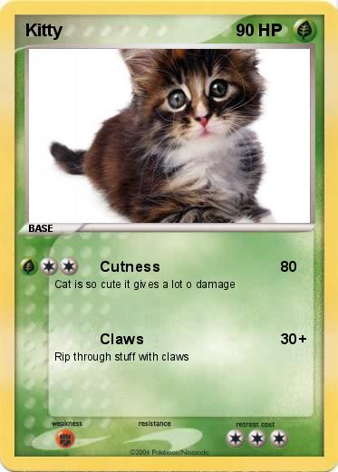 Pokemon Kitty
