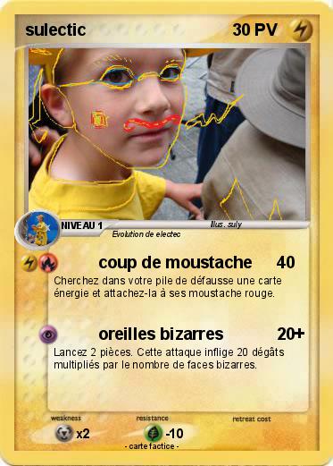 Pokemon sulectic