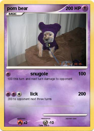 Pokemon pom bear
