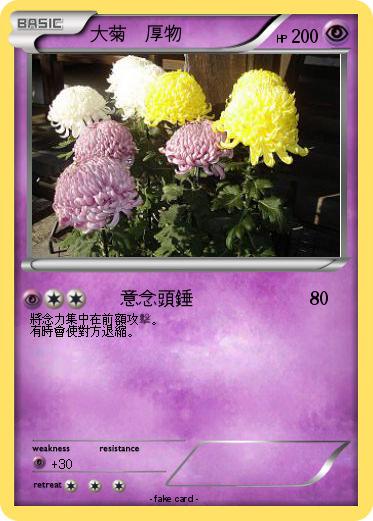 Pokemon 大菊　厚物
