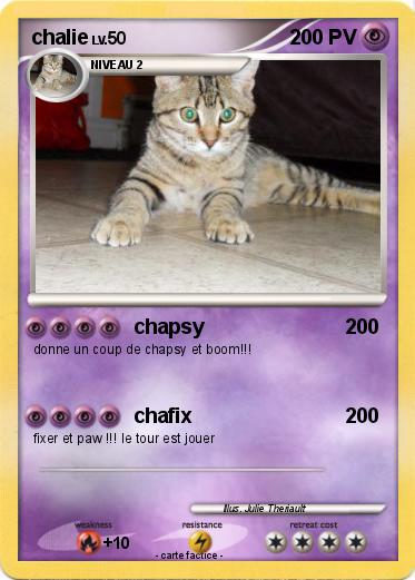 Pokemon chalie