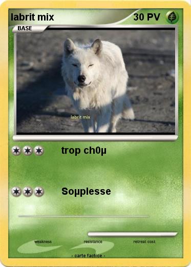 Pokemon labrit mix
