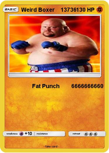 Pokemon Weird Boxer    13736