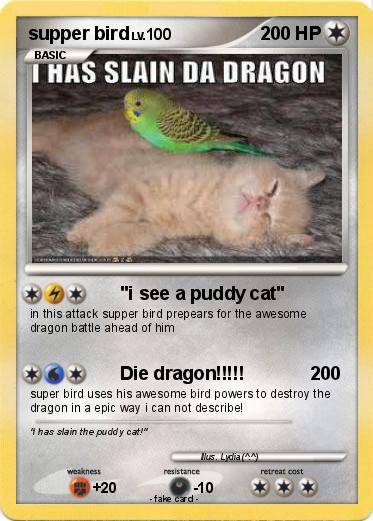Pokemon supper bird