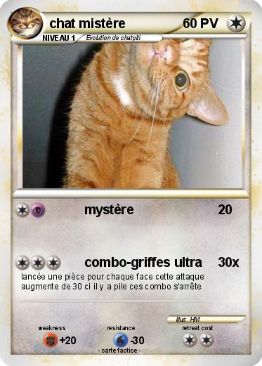 Pokemon chat mistère