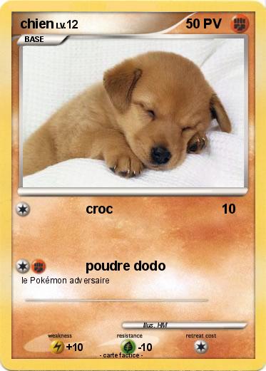 Pokemon chien