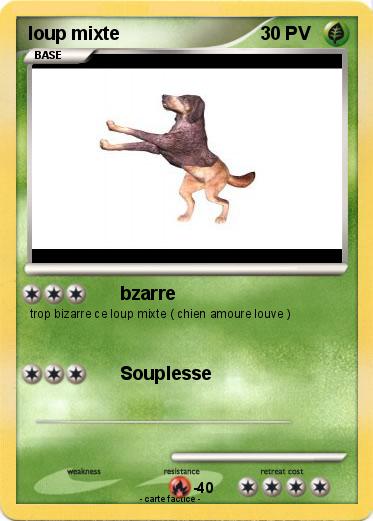 Pokemon loup mixte