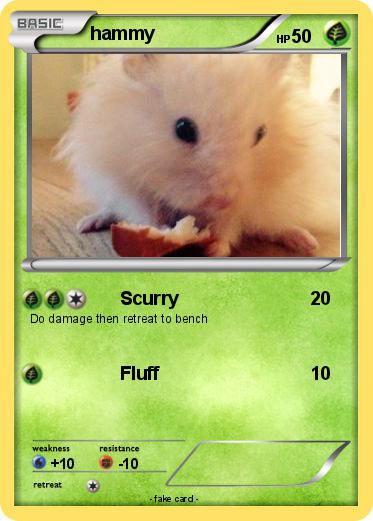 Pokemon hammy