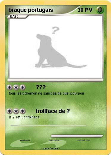 Pokemon braque portugais