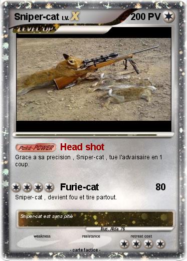 Pokemon Sniper-cat