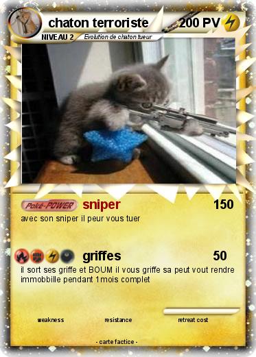 Pokemon chaton terroriste