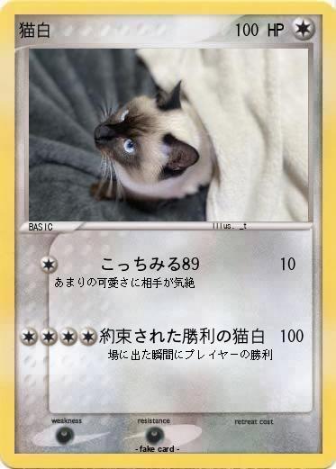 Pokemon 猫白