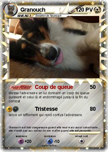 Pokemon Granouch