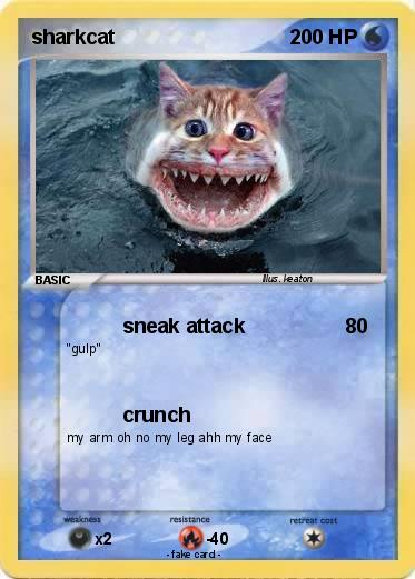 Pokemon sharkcat