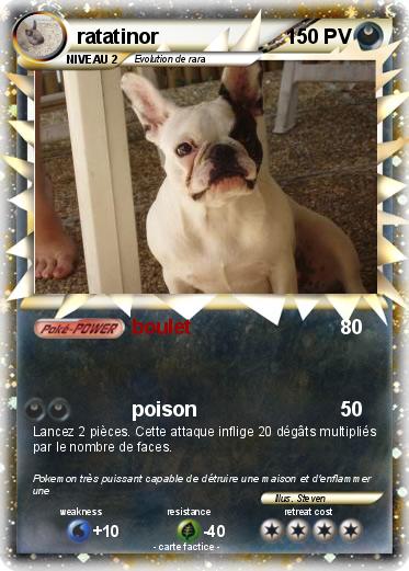 Pokemon ratatinor