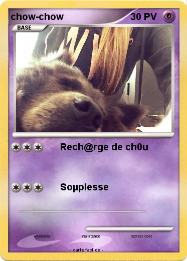Pokemon chow-chow