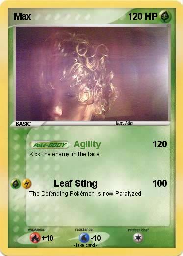 Pokemon Max