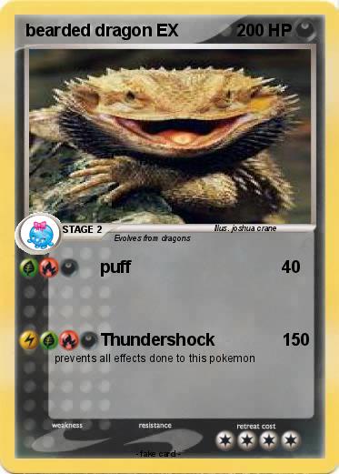 Pokemon bearded dragon EX