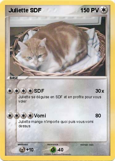 Pokemon Juliette SDF