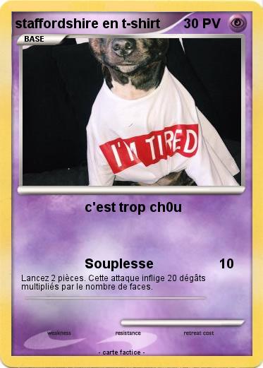 Pokemon staffordshire en t-shirt