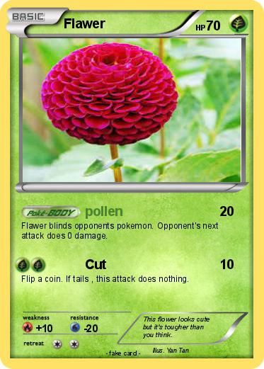 Pokemon Flawer