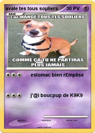Pokemon avale tes tous soµliers
