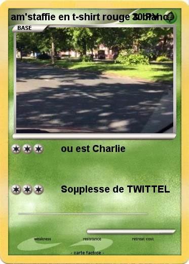 Pokemon am'staffie en t-shirt rouge & blanc