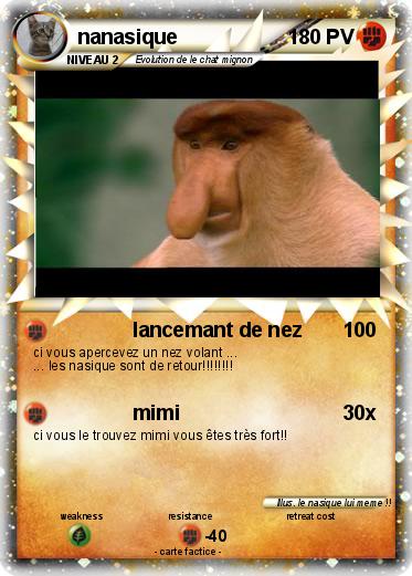 Pokemon nanasique