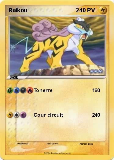 Pokemon Raikou                               2
