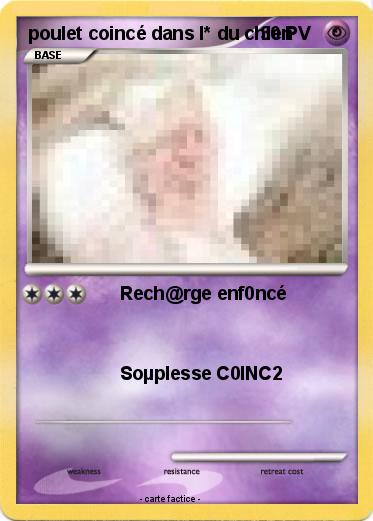 Pokemon poulet coincé dans l* du chien