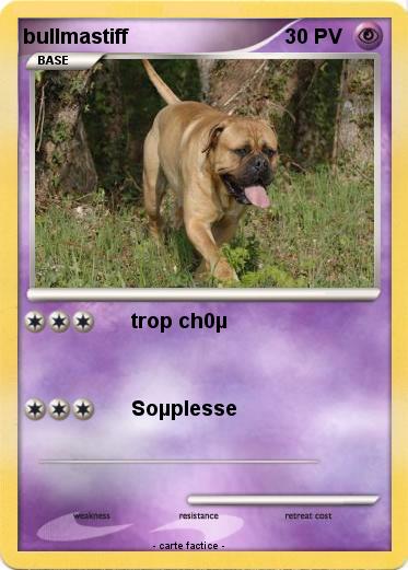 Pokemon bullmastiff
