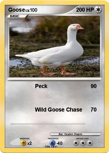 Pokemon Goose
