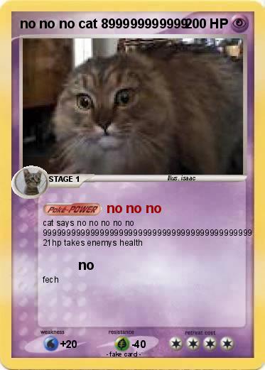Pokemon no no no cat 899999999999