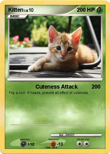 Pokemon Kitten