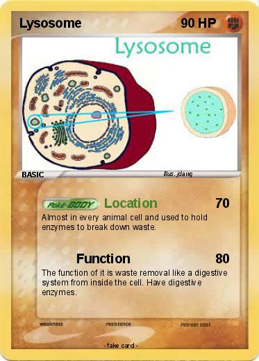 Pokemon Lysosome