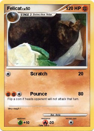Pokemon Felicat