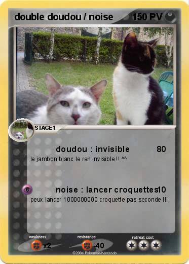 Pokemon double doudou / noise